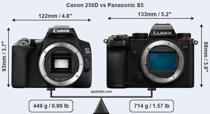 Size Canon 250D vs Panasonic S5
