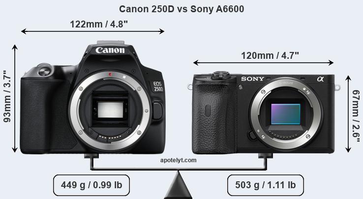 Size Canon 250D vs Sony A6600