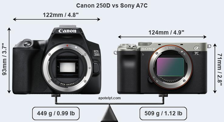 Size Canon 250D vs Sony A7C