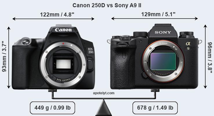 Size Canon 250D vs Sony A9 II