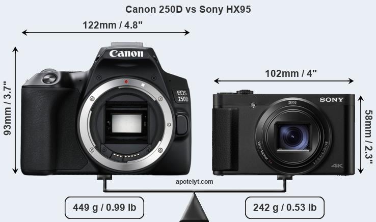 Size Canon 250D vs Sony HX95
