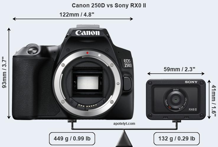 Size Canon 250D vs Sony RX0 II