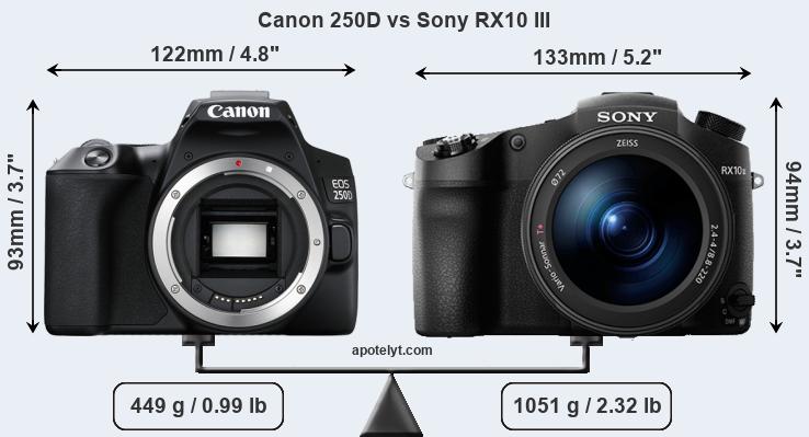 Size Canon 250D vs Sony RX10 III