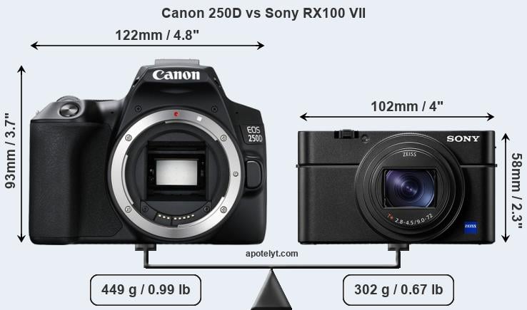 Size Canon 250D vs Sony RX100 VII