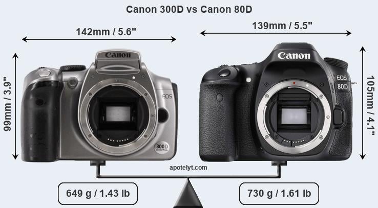 Size Canon 300D vs Canon 80D