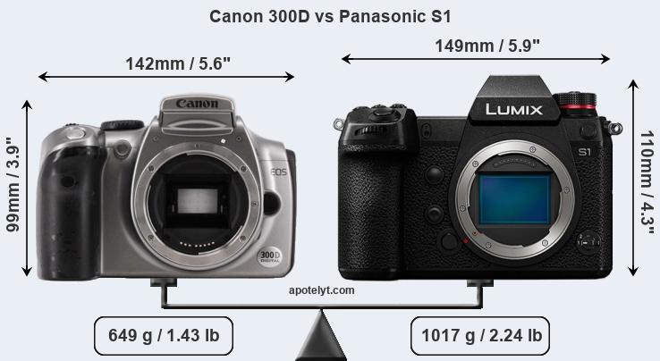 Size Canon 300D vs Panasonic S1