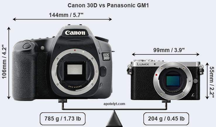 Size Canon 30D vs Panasonic GM1