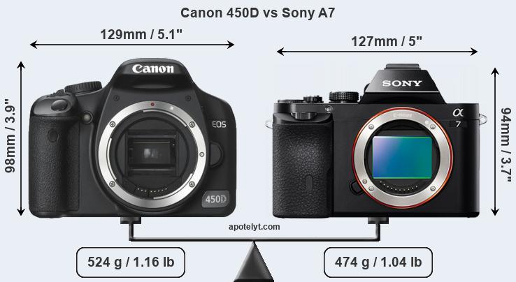 Size Canon 450D vs Sony A7