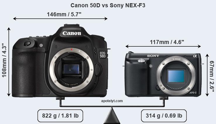 Size Canon 50D vs Sony NEX-F3