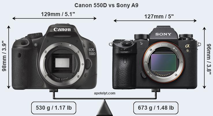 Size Canon 550D vs Sony A9