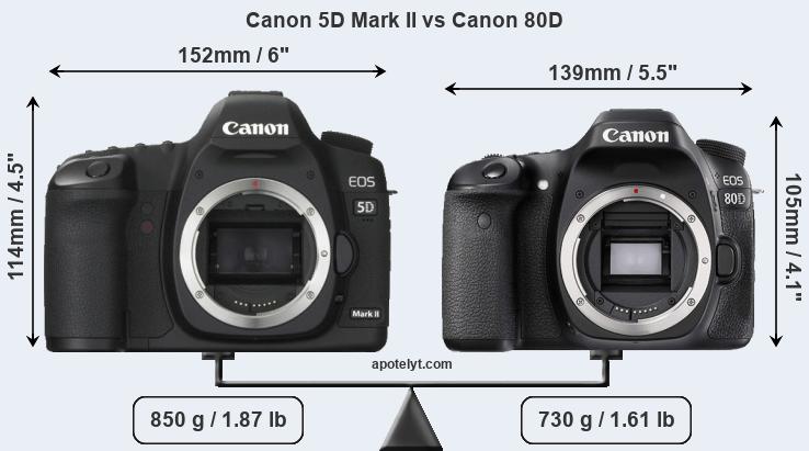 Size Canon 5D Mark II vs Canon 80D