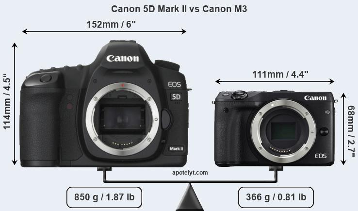 Size Canon 5D Mark II vs Canon M3