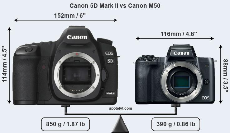 Size Canon 5D Mark II vs Canon M50