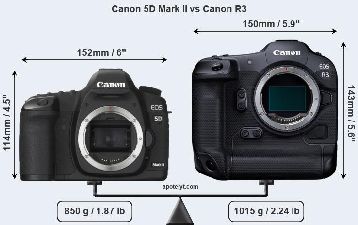 Size Canon 5D Mark II vs Canon R3