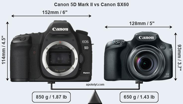 Size Canon 5D Mark II vs Canon SX60