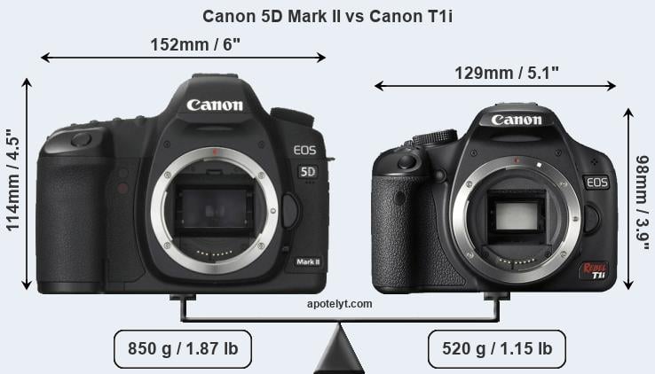 Size Canon 5D Mark II vs Canon T1i