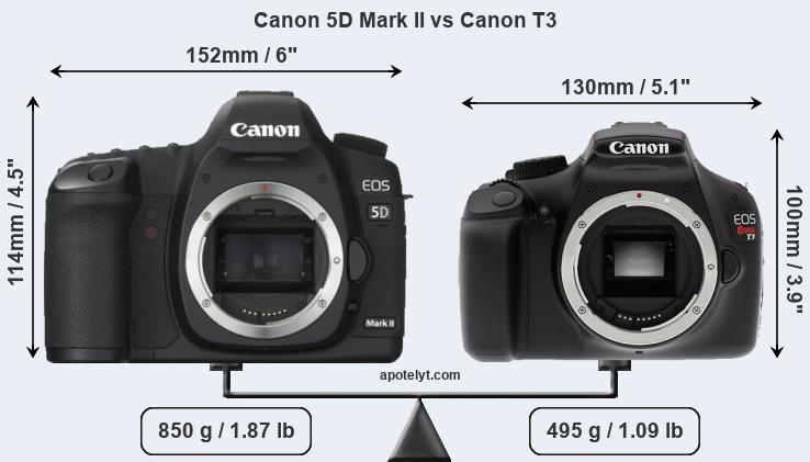 Size Canon 5D Mark II vs Canon T3