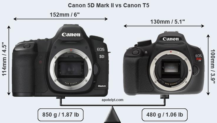Size Canon 5D Mark II vs Canon T5