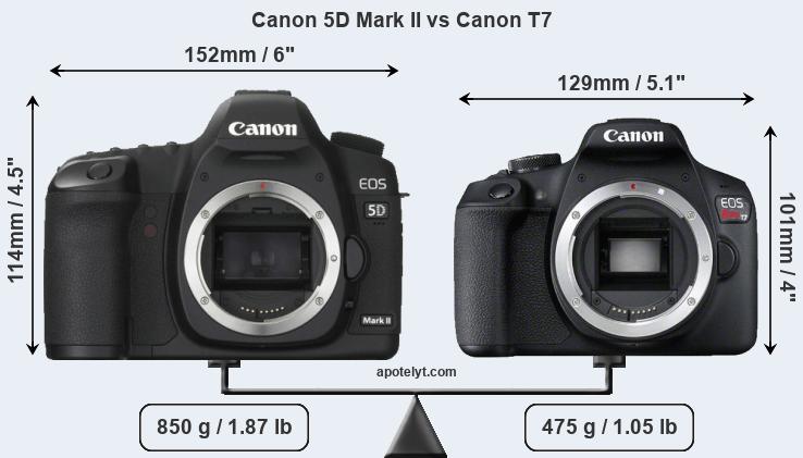 Size Canon 5D Mark II vs Canon T7