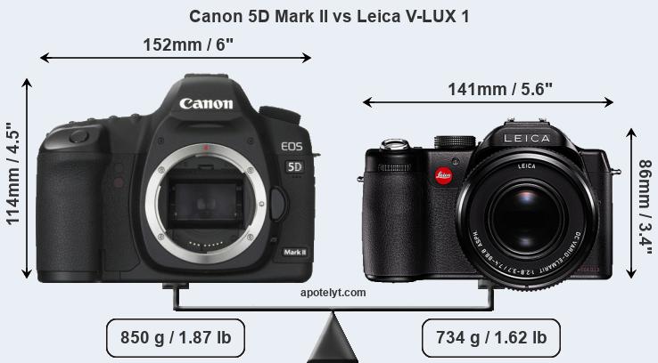 Size Canon 5D Mark II vs Leica V-LUX 1