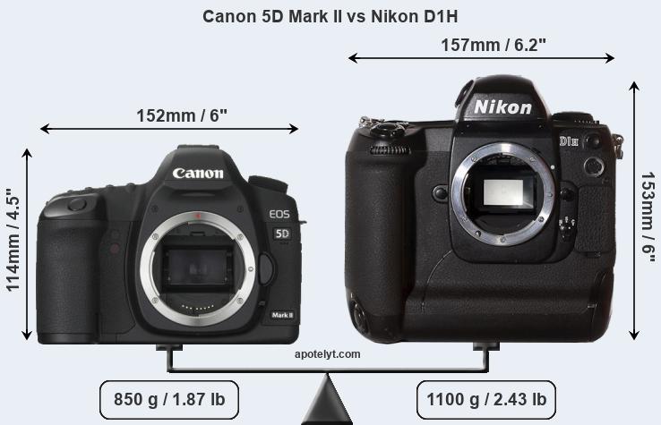 Size Canon 5D Mark II vs Nikon D1H
