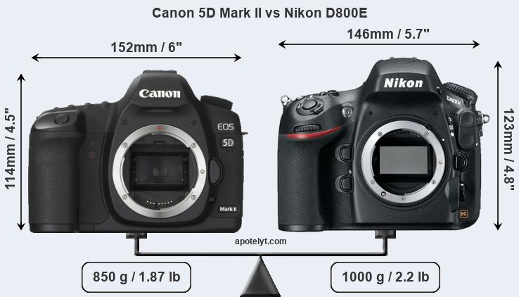Size Canon 5D Mark II vs Nikon D800E
