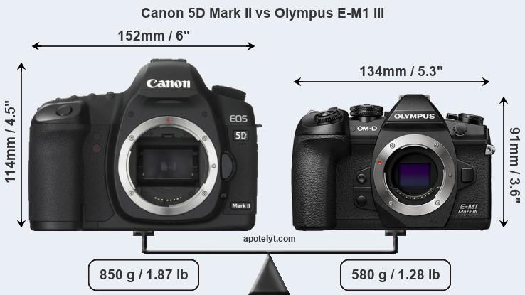 Size Canon 5D Mark II vs Olympus E-M1 III