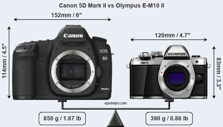 Size Canon 5D Mark II vs Olympus E-M10 II
