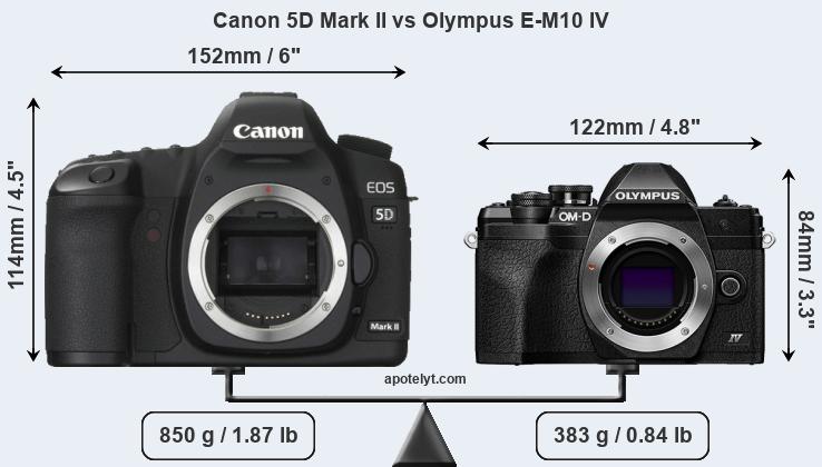 Size Canon 5D Mark II vs Olympus E-M10 IV