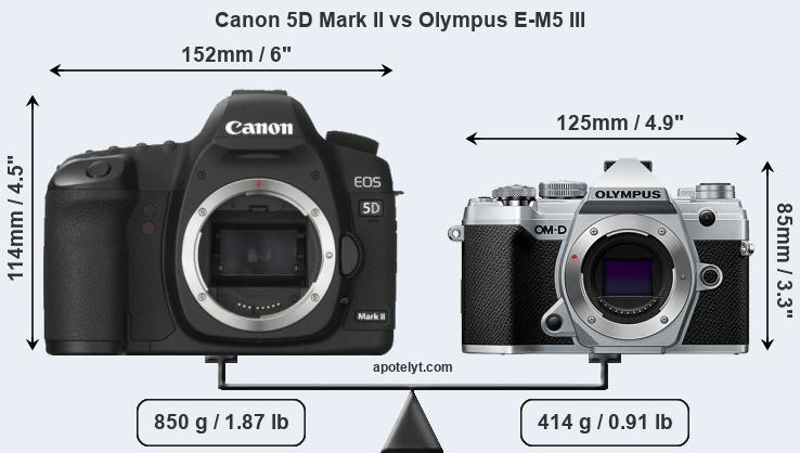 Size Canon 5D Mark II vs Olympus E-M5 III