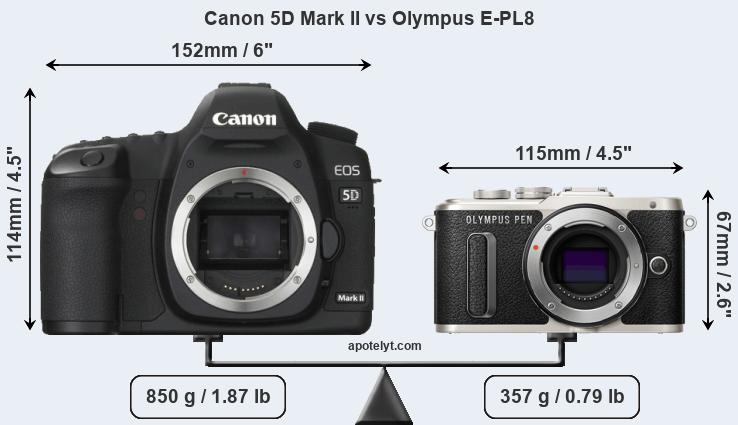 Size Canon 5D Mark II vs Olympus E-PL8