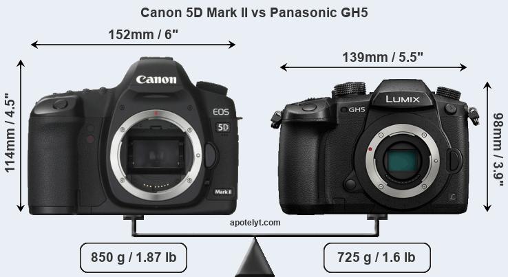 Size Canon 5D Mark II vs Panasonic GH5