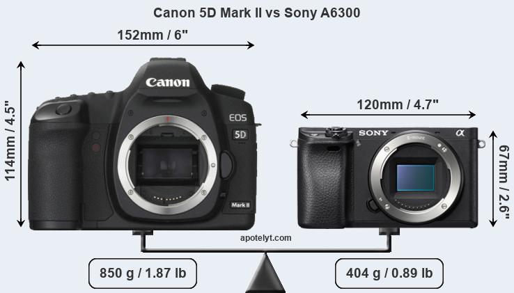 Size Canon 5D Mark II vs Sony A6300