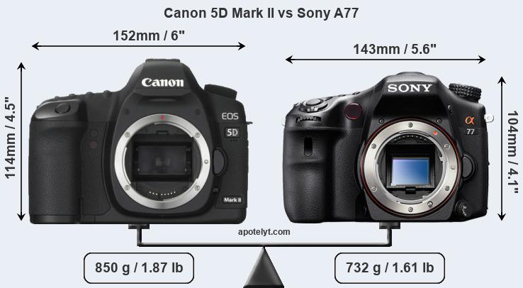 Size Canon 5D Mark II vs Sony A77