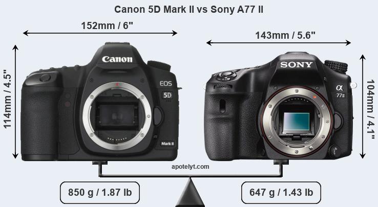 Size Canon 5D Mark II vs Sony A77 II