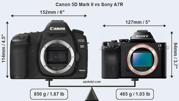 Size Canon 5D Mark II vs Sony A7R