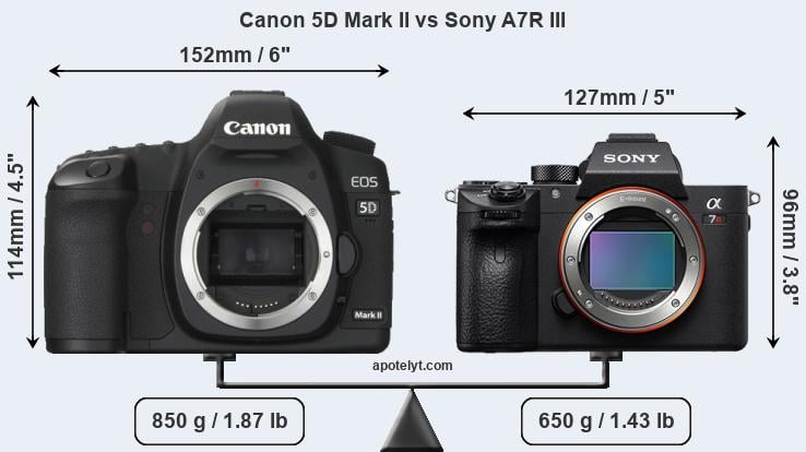 Size Canon 5D Mark II vs Sony A7R III