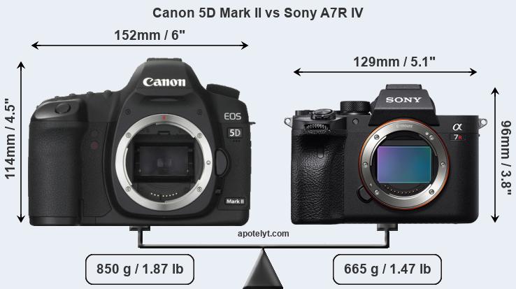 Size Canon 5D Mark II vs Sony A7R IV