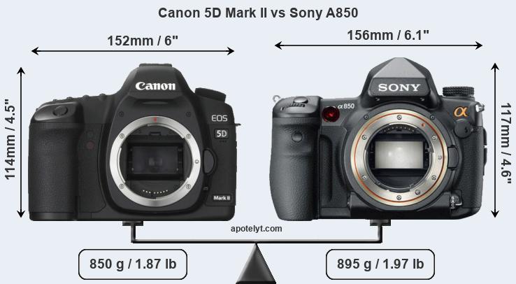 Size Canon 5D Mark II vs Sony A850