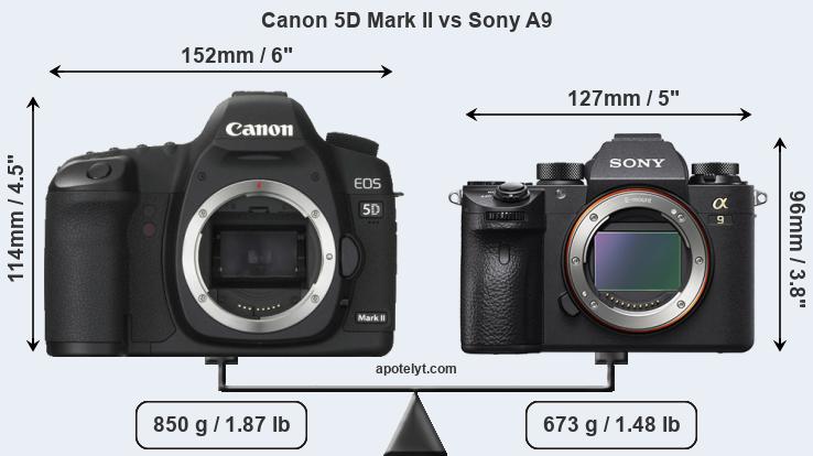 Size Canon 5D Mark II vs Sony A9