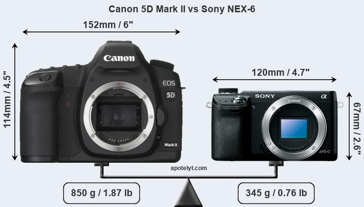 Size Canon 5D Mark II vs Sony NEX-6