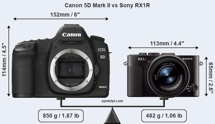Size Canon 5D Mark II vs Sony RX1R