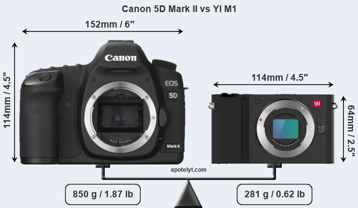 Size Canon 5D Mark II vs YI M1