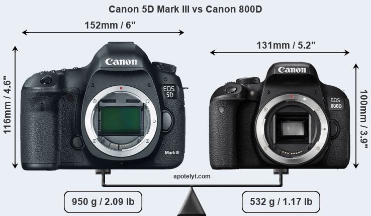 Size Canon 5D Mark III vs Canon 800D