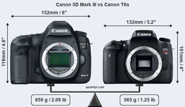 Size Canon 5D Mark III vs Canon T6s
