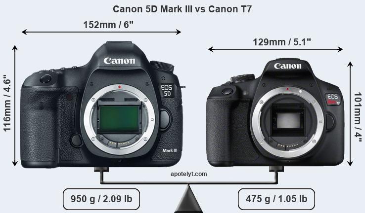 Size Canon 5D Mark III vs Canon T7