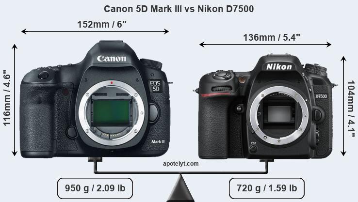 Size Canon 5D Mark III vs Nikon D7500