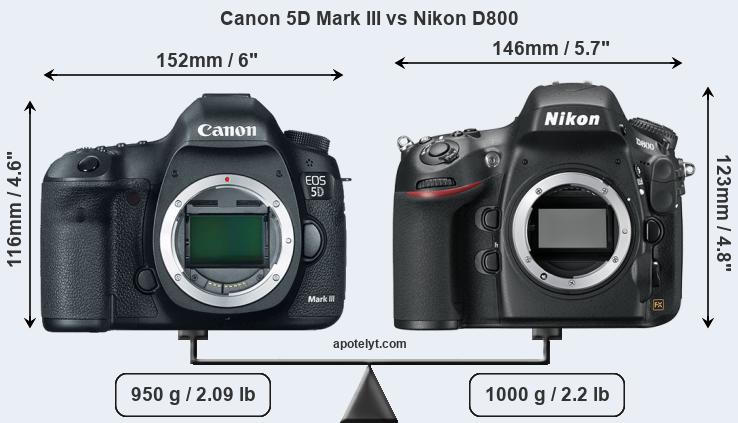 Size Canon 5D Mark III vs Nikon D800