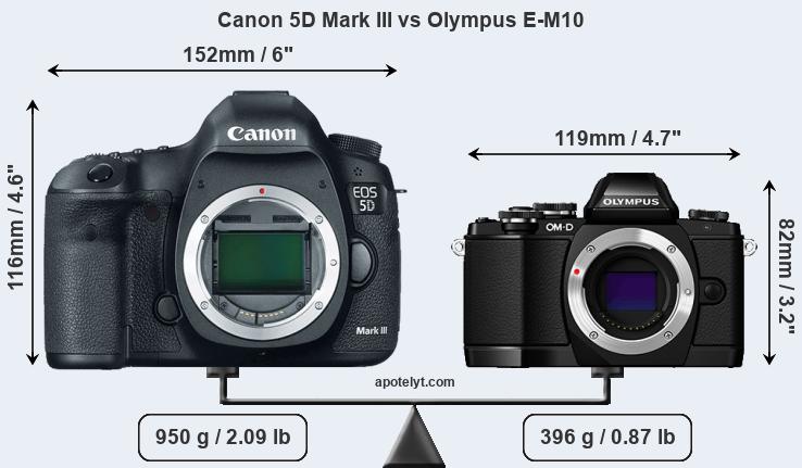 Size Canon 5D Mark III vs Olympus E-M10