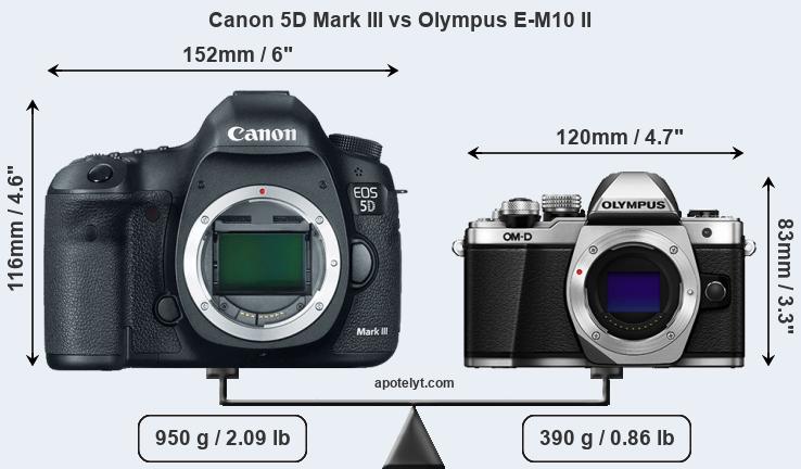 Size Canon 5D Mark III vs Olympus E-M10 II